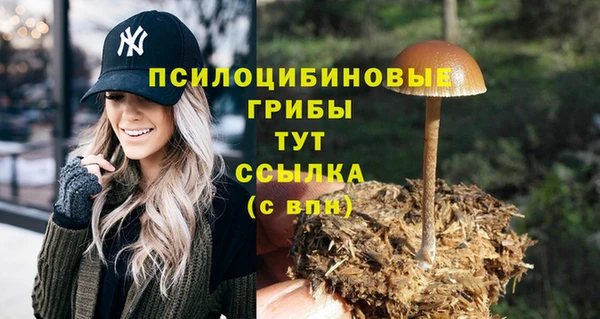 марки nbome Ельня
