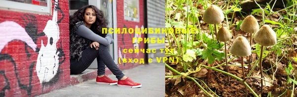 марки nbome Ельня