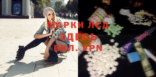 стаф Сатка