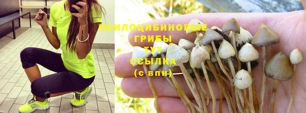 наркотики Елизово