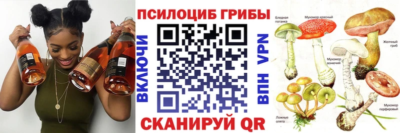 Галлюциногенные грибы ЛСД  Сольвычегодск 